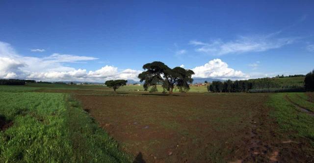 首页| 凯发K8国际·天生赢家一触即发