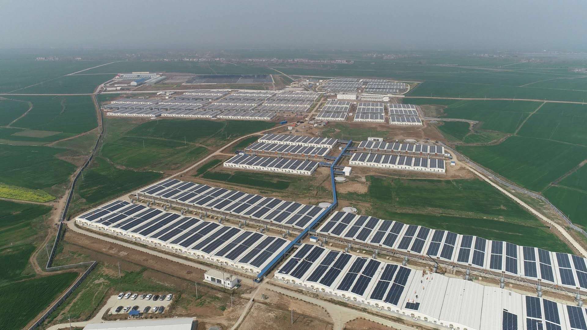 首页| 凯发K8国际·天生赢家一触即发