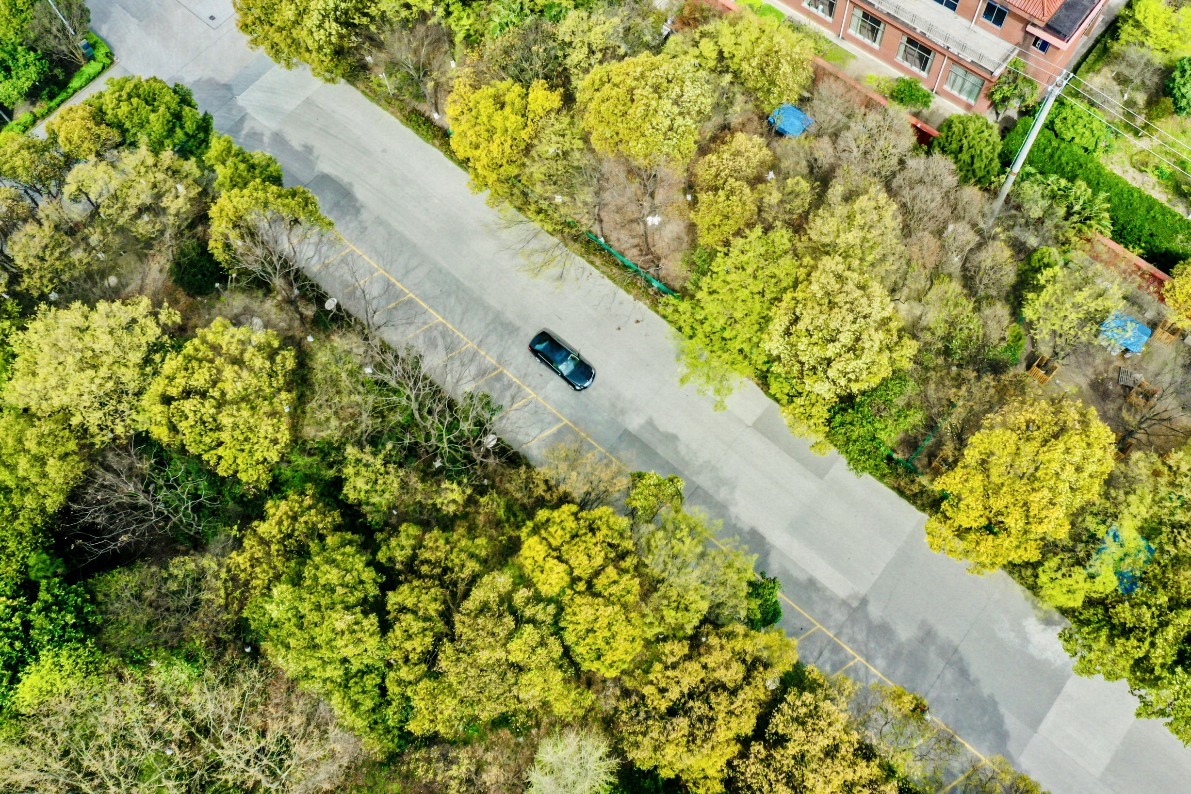 首页| 凯发K8国际·天生赢家一触即发