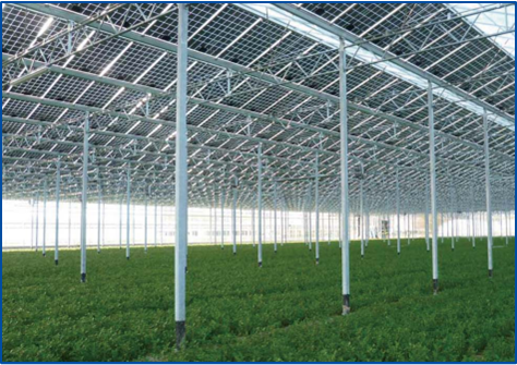 首页| 凯发K8国际·天生赢家一触即发