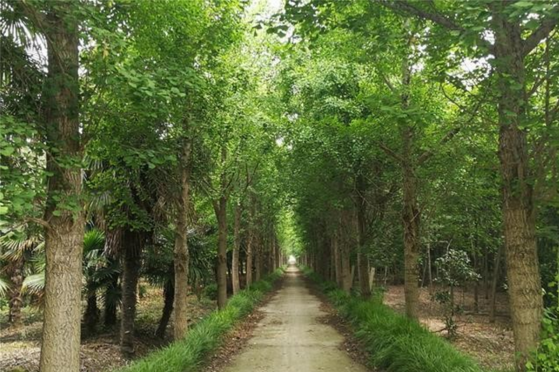 首页| 凯发K8国际·天生赢家一触即发